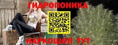 прущие крисы Лесосибирск