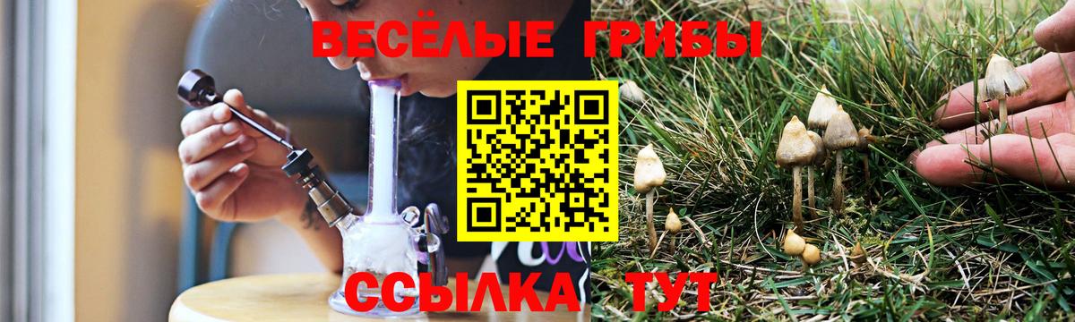 Галлюциногенные грибы мухоморы  Вход с VPN  Псилоцибиновые грибы мухоморы  Чайковский 